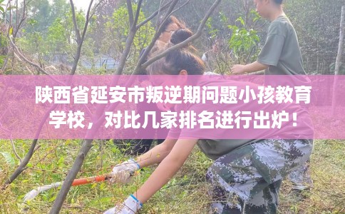 陕西省延安市叛逆期问题小孩教育学校，对比几家排名进行出炉！