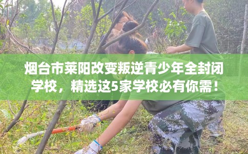 烟台市莱阳改变叛逆青少年全封闭学校,精选这5家学校必有你需! 烟台市莱阳改变叛逆青少年全封闭学校,精选这5家学校必有你需!