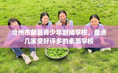 沧州市献县青少年封闭学校，盘点几家受好评多的素质学校