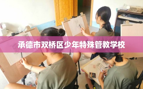 承德市双桥区少年特殊管教学校