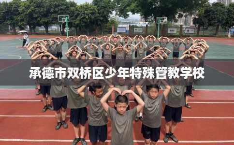 承德市双桥区少年特殊管教学校