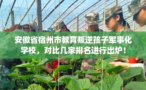 安徽省宿州市教育叛逆孩子军事化学校，对比几家排名进行出炉！