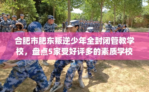 合肥市肥东叛逆少年全封闭管教学校，盘点5家受好评多的素质学校
