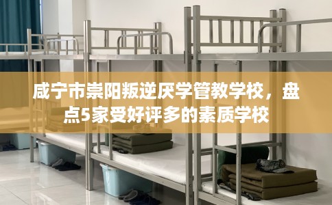 咸宁市崇阳叛逆厌学管教学校，盘点5家受好评多的素质学校