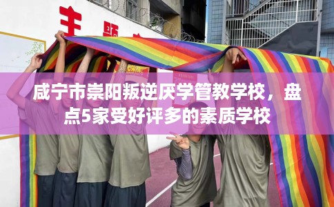 咸宁市崇阳叛逆厌学管教学校，盘点5家受好评多的素质学校