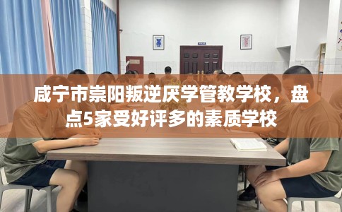 咸宁市崇阳叛逆厌学管教学校，盘点5家受好评多的素质学校