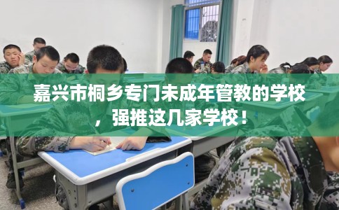 嘉兴市桐乡专门未成年管教的学校，强推这几家学校！
