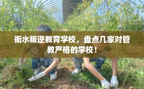 衡水叛逆教育学校,盘点几家对管教严格的学校! 衡水叛逆教育学校,盘点几家对管教严格的学校!