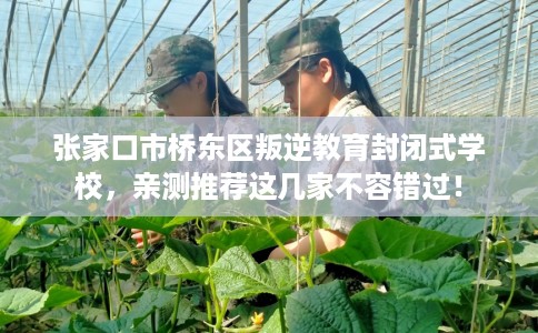 张家口市桥东区叛逆教育封闭式学校，亲测推荐这几家不容错过！