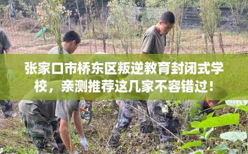张家口市桥东区叛逆教育封闭式学校，亲测推荐这几家不容错过！