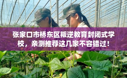 张家口市桥东区叛逆教育封闭式学校，亲测推荐这几家不容错过！