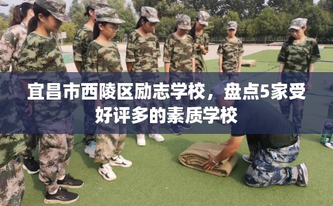 宜昌市西陵区励志学校，盘点5家受好评多的素质学校