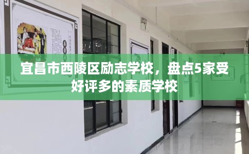 宜昌市西陵区励志学校，盘点5家受好评多的素质学校