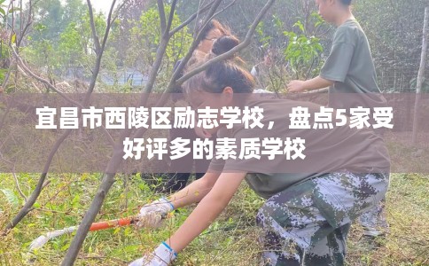 宜昌市西陵区励志学校，盘点5家受好评多的素质学校