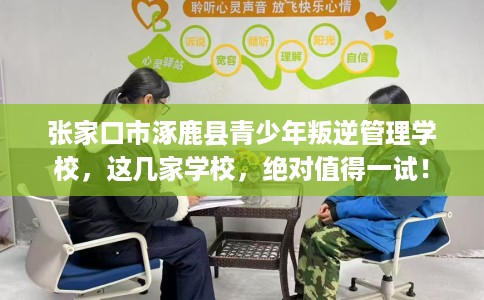 张家口市涿鹿县青少年叛逆管理学校，这几家学校，绝对值得一试！