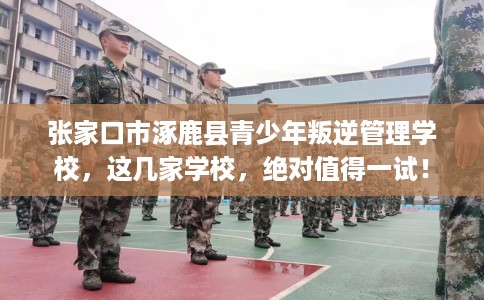 张家口市涿鹿县青少年叛逆管理学校，这几家学校，绝对值得一试！