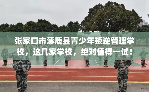 张家口市涿鹿县青少年叛逆管理学校，这几家学校，绝对值得一试！