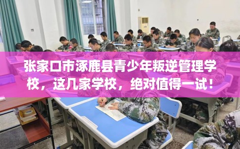 张家口市涿鹿县青少年叛逆管理学校，这几家学校，绝对值得一试！