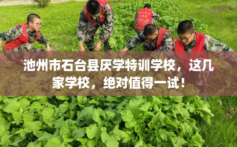 池州市石台县厌学特训学校，这几家学校，绝对值得一试！