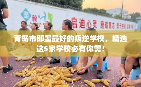 青岛市即墨最好的叛逆学校，精选这5家学校必有你需！