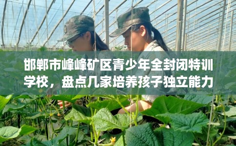 邯郸市峰峰矿区青少年全封闭特训学校,盘点几家培养孩子独立能力学校! 邯郸市峰峰矿区青少年全封闭特训学校,盘点几家培养孩子独立能力学校!