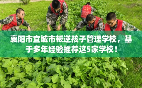 襄阳市宜城市叛逆孩子管理学校，基于多年经验推荐这5家学校！