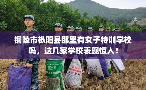 铜陵市枞阳县那里有女子特训学校吗，这几家学校表现惊人！