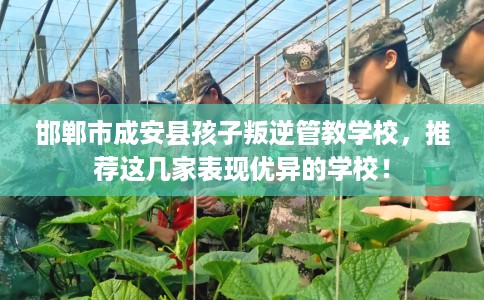 邯郸市成安县孩子叛逆管教学校，推荐这几家表现优异的学校！