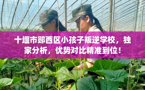 十堰市郧西区小孩子叛逆学校，独家分析，优势对比精准到位！