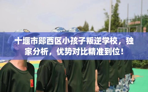 十堰市郧西区小孩子叛逆学校，独家分析，优势对比精准到位！