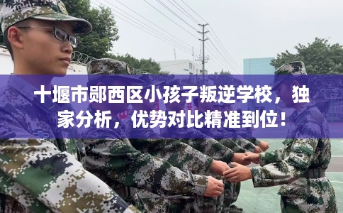 十堰市郧西区小孩子叛逆学校，独家分析，优势对比精准到位！