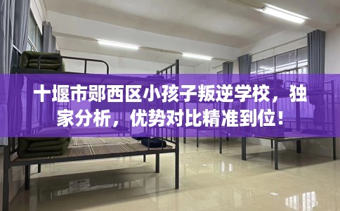 十堰市郧西区小孩子叛逆学校，独家分析，优势对比精准到位！