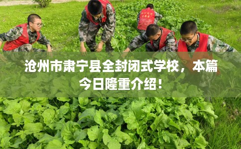 沧州市肃宁县全封闭式学校，本篇今日隆重介绍！