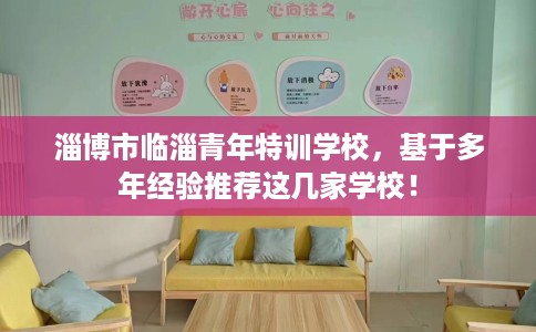 淄博市临淄青年特训学校，基于多年经验推荐这几家学校！