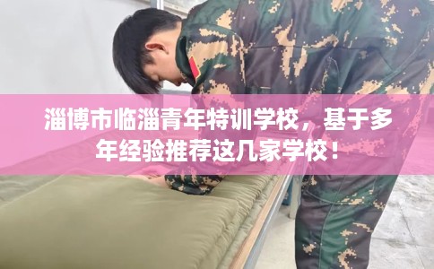 淄博市临淄青年特训学校，基于多年经验推荐这几家学校！
