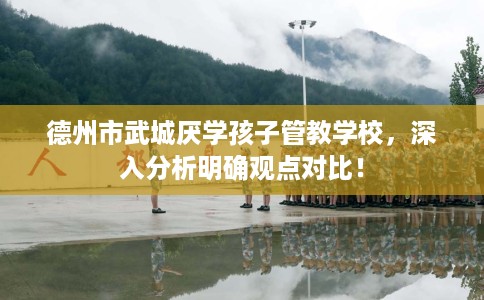 德州市武城厌学孩子管教学校，深入分析明确观点对比！