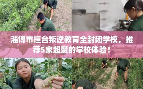 淄博市桓台叛逆教育全封闭学校，推荐5家超赞的学校体验！