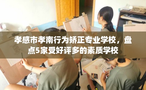 孝感市孝南行为矫正专业学校，盘点5家受好评多的素质学校