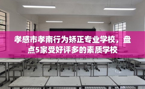 孝感市孝南行为矫正专业学校，盘点5家受好评多的素质学校
