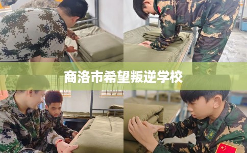 商洛市希望叛逆学校