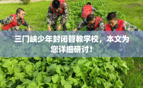 三门峡少年封闭管教学校，本文为您详细研讨！