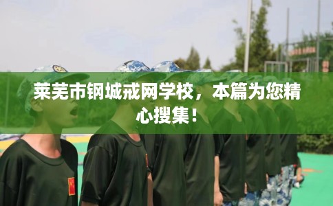 莱芜市钢城戒网学校，本篇为您精心搜集！