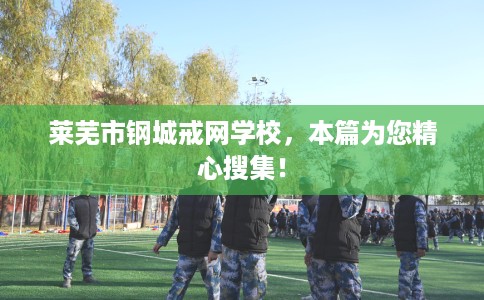 莱芜市钢城戒网学校，本篇为您精心搜集！