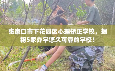 张家口市下花园区心理矫正学校,揭秘5家办学悠久可靠的学校! 张家口市下花园区心理矫正学校,揭秘5家办学悠久可靠的学校!