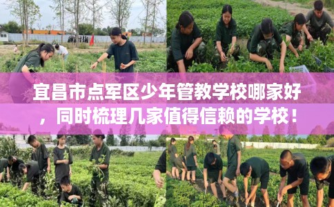 宜昌市点军区少年管教学校哪家好，同时梳理几家值得信赖的学校！