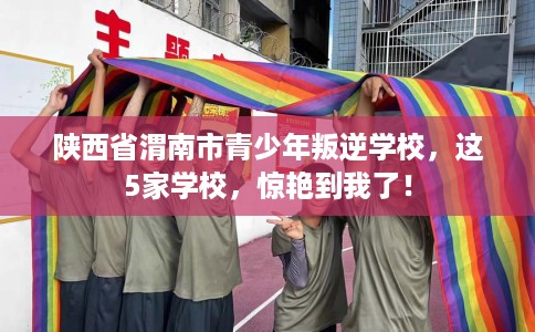 陕西省渭南市青少年叛逆学校，这5家学校，惊艳到我了！