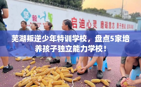 芜湖叛逆少年特训学校，盘点5家培养孩子独立能力学校！