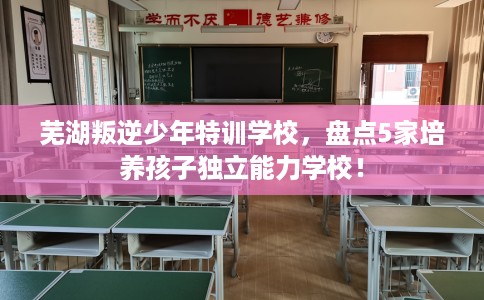 芜湖叛逆少年特训学校，盘点5家培养孩子独立能力学校！