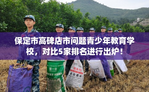 保定市高碑店市问题青少年教育学校，对比5家排名进行出炉！