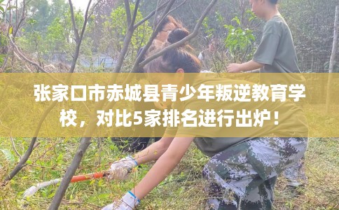 张家口市赤城县青少年叛逆教育学校，对比5家排名进行出炉！